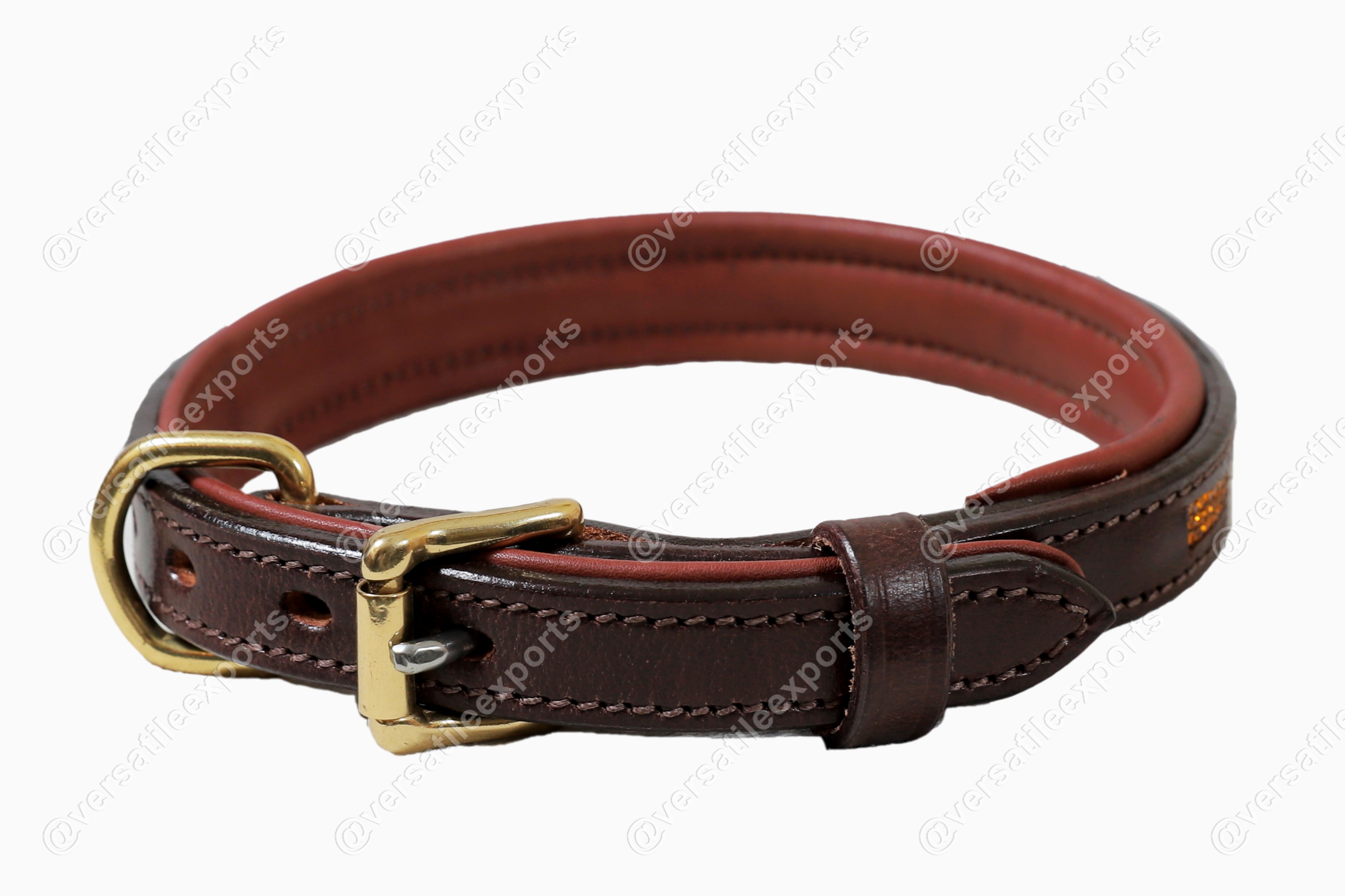 Dog Collars Shiny